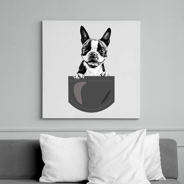 Boston Terrier - zseb-Vászonkép