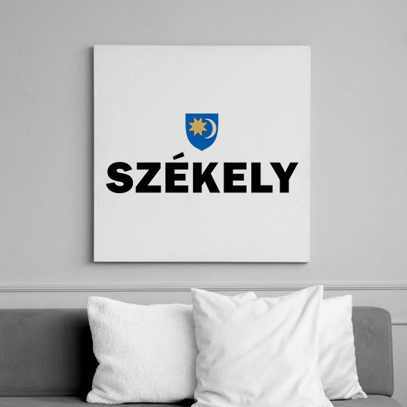 Székely-Vászonkép