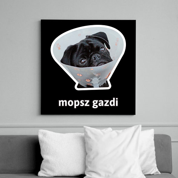 mopsz gazdi 5-Vászonkép