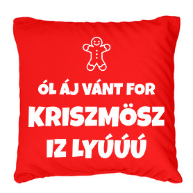 Párnahuzat, Díszpárnahuzat